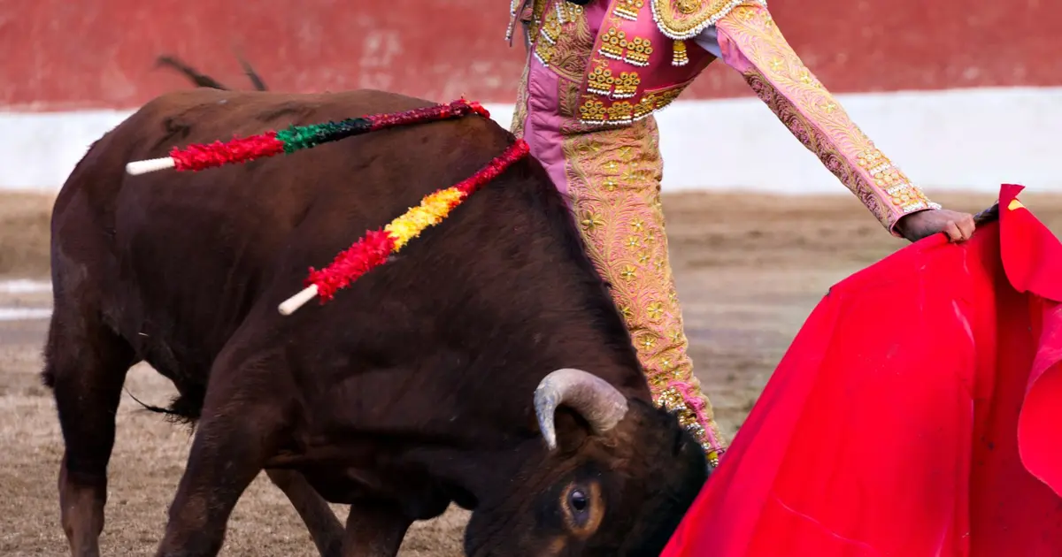 Les plus grands moments de corrida vous attendent avec la Feria de Pentecôte à Nîmes