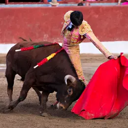 Feria de Pentecôte à Nîmes 2027