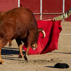 Feria des Vendanges à Nîmes 2026