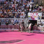 Feria du Riz à Arles 2026