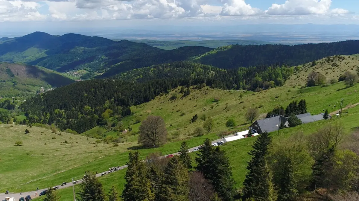 Vue au dessus du Buchwald