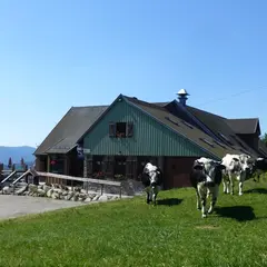 Ferme auberge du Gaschney