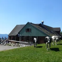 Ferme auberge du Gaschney