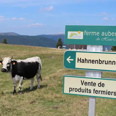 Ferme auberge du Hahnenbrunnen