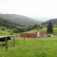 Vue sur la ferme auberge du Kohlschlag, nichée dans les Vosges DR