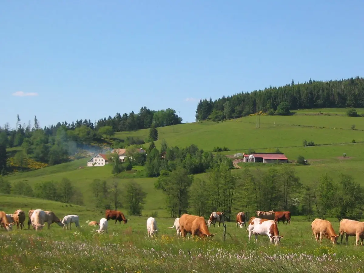 Ferme auberge du nouveau chemin