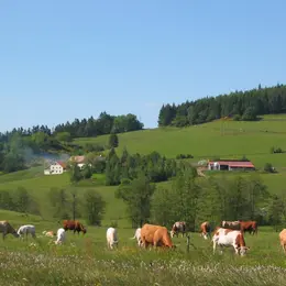 Ferme auberge du nouveau chemin