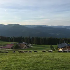Ferme auberge du Schnepfenried famille Deybach