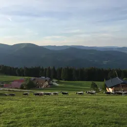 Ferme auberge du Schnepfenried famille Deybach