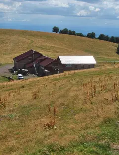 Ferme auberge du Wissgrut à Sewen