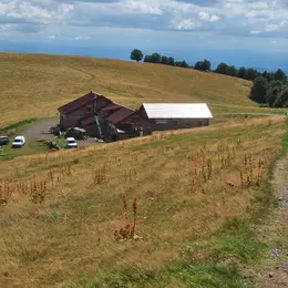 Ferme auberge du Wissgrut à Sewen