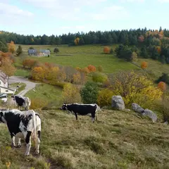 Ferme auberge Glasborn Linge