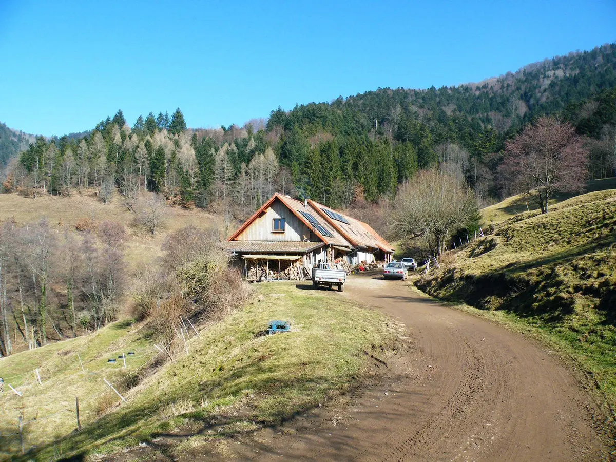 La ferme auberge de l'Ostein dans son cadre naturel