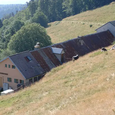Ferme auberge du Thanner Hubel