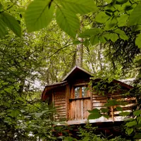 Une jolie cabane dans les arbres DR