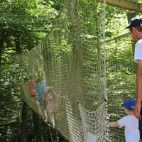 La Canopée, un parcours au coeur des arbres DR
