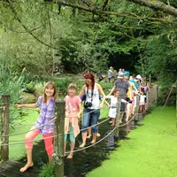 Le pont sous l'eau pour débuter votre parcours pieds nus DR