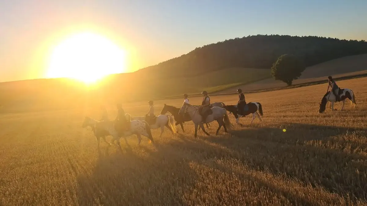 Ferme de Poifond - Agenda Juillet 2026
