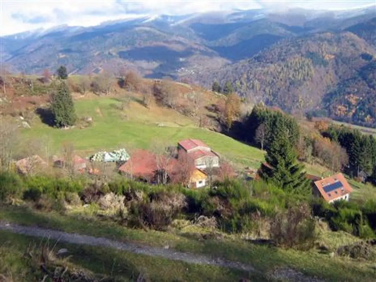 Ferme du Bergenbach
