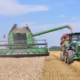 Ferme Lammert