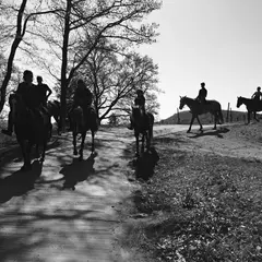 Ferme Munsch - Ranch du Laubenrain