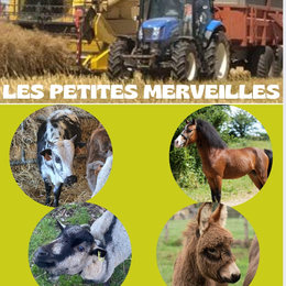 Ferme pédagogique