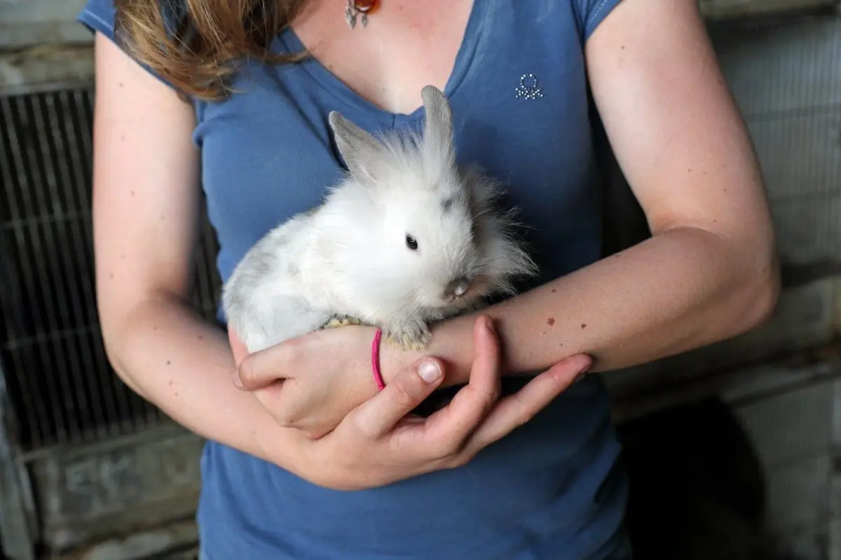 Ferme pédagogique de Bouxwiller