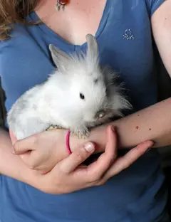 Ferme pédagogique de Bouxwiller