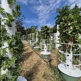 Fermes aéroponiques urbaines : UltraEdge, Les Fermes Ionaka et le Secours populaire s'associent à Strasbourg