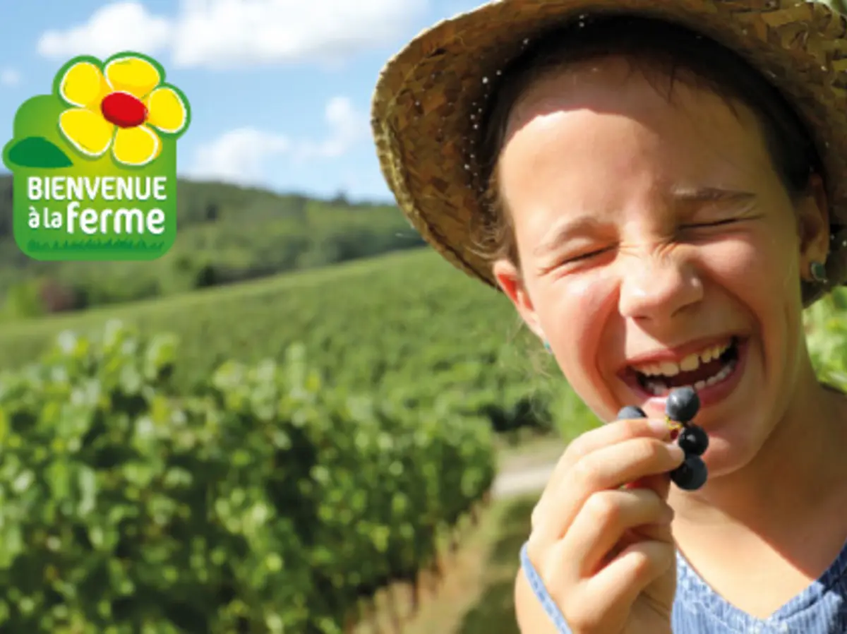Fermes En Fête Aux Saveurs Paysannes