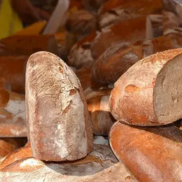 Fermes en fête : Grains d'Ô Vin allume le fourniol