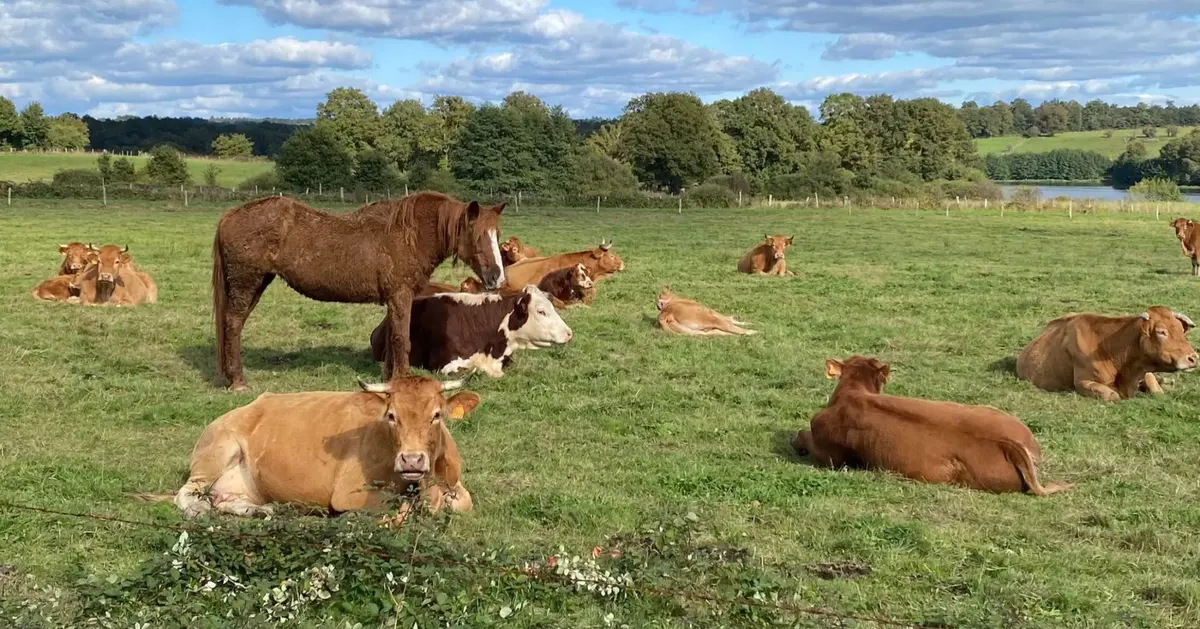 Fermes ouvertes, afterworks et fêtes agricoles dans le Bas-Rhin