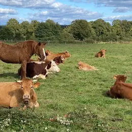 Fermes ouvertes, afterworks et fêtes agricoles dans le Bas-Rhin