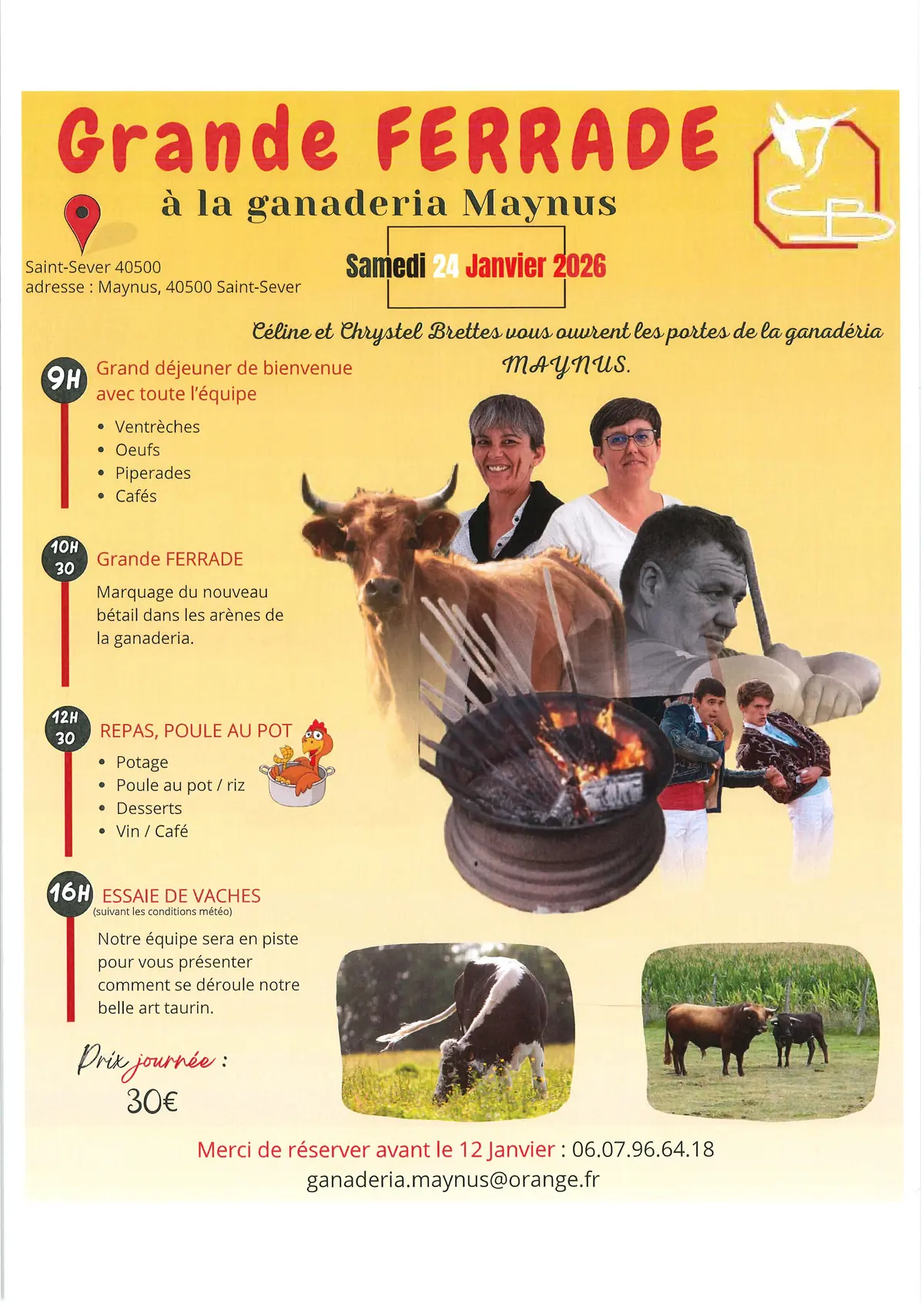 Ferrade à la Ganaderia de Maynus