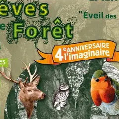Fest'imagin