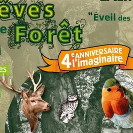 Fest'imagin
