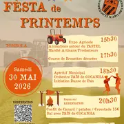 Festa De Printemps