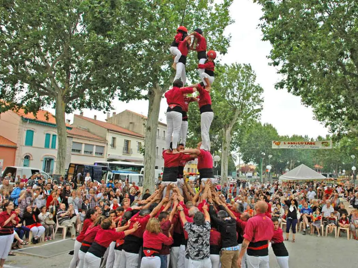 Festa Gegantera