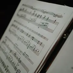 Festa Major