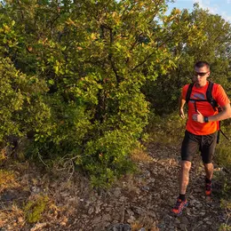 Festa Trail