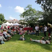 Festi\'Luys - Festival intercommunal des arts de la rue