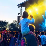 Festi plaine