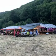 Festi'Vallée De L'Abeille Noire