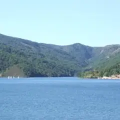 Festilac