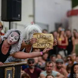 Festiv'Adour : Promenade-Spectacle
