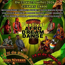 Festival Afrodream Danse
