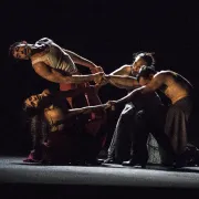 Festival andalou 2024 : Spectacle Los Bailes robados