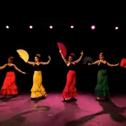 Festival andalou 2024 : Spectacle Sueño Flamenco