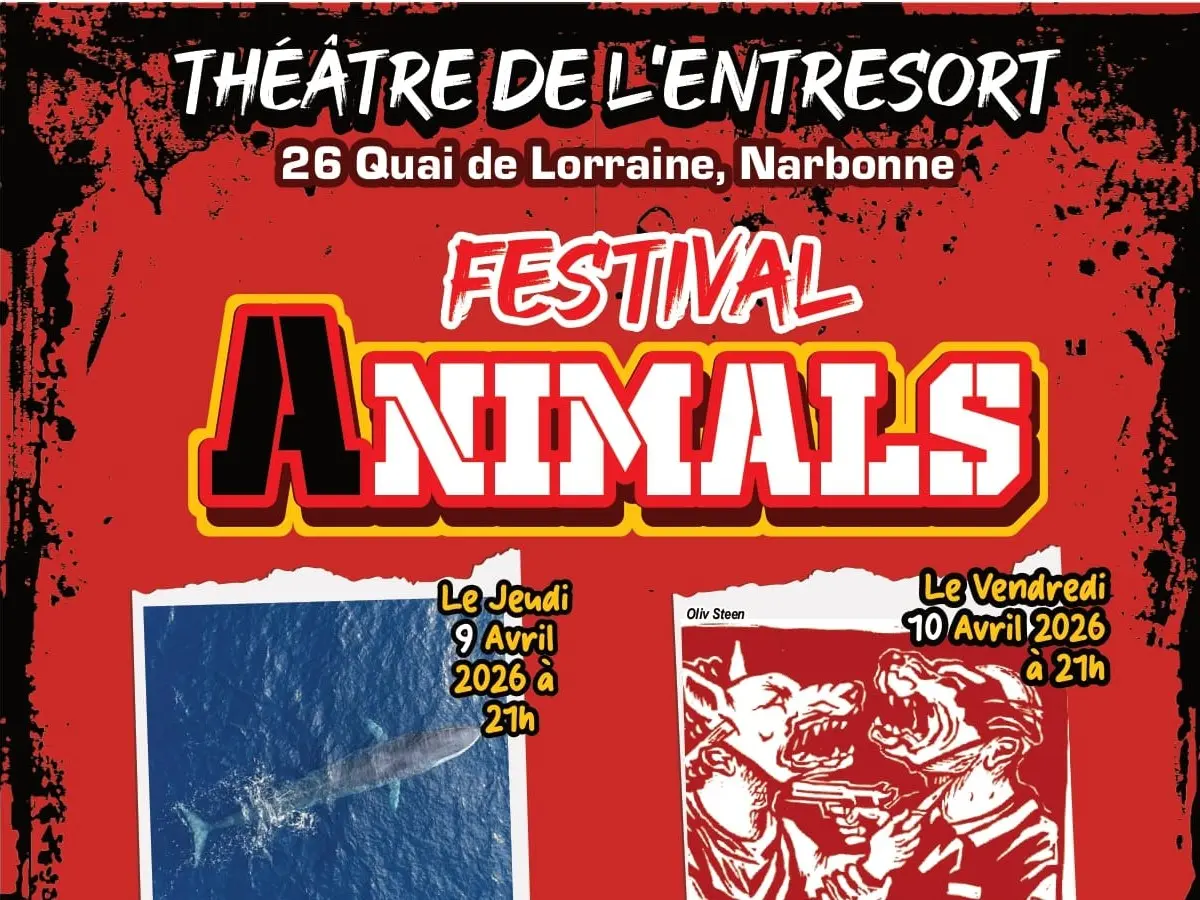 Festival Animals - Moi Dian Fossey
