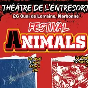 Festival Animals - Moi Dian Fossey